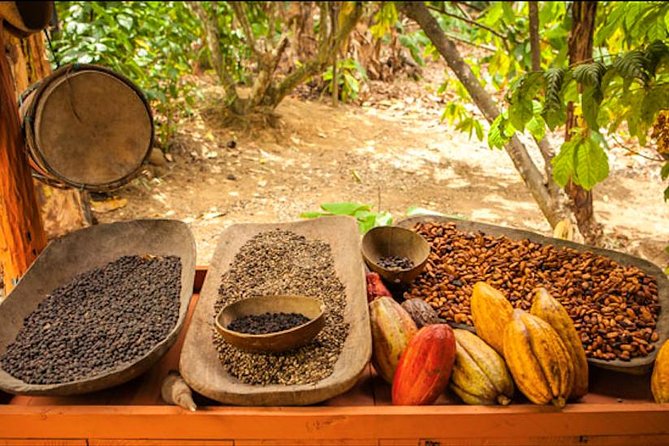 Half-Day Adventure 4x4 ATV, Water Cave and Dominican Culture - Coffee, chocolate, rum, and the sales stop