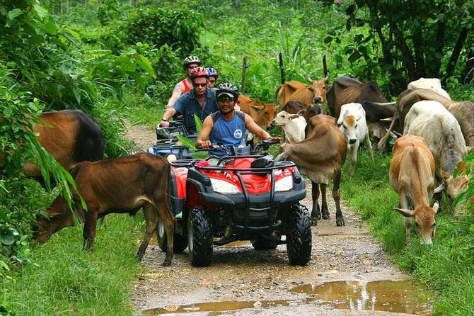 Half-Day Adventure 4x4 ATV, Water Cave and Dominican Culture - Starting the engines at Rancho Pin number 2