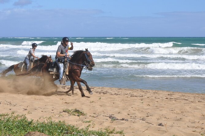 Half Day Buggies and Horseback Experience in Punta Cana - Macao Beach, a worthwhile coastal pause