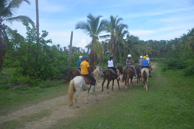 Half Day Buggies and Horseback Experience in Punta Cana - An underground water cave with blue water