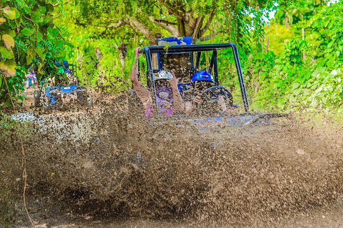 Half-Day Buggy Tour to Water cenote and Macao Beach in Punta Cana - Los Hoyos del Salado, a 25-foot water cave