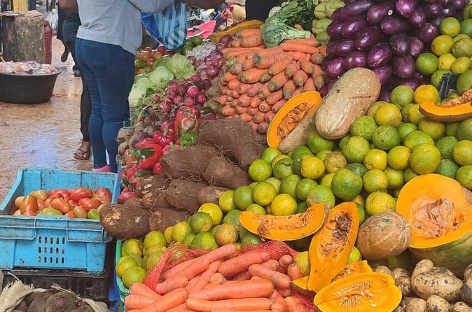 Half-day City tour cultural from punta cana for small group - A Dominican country home, coffee, and cacao