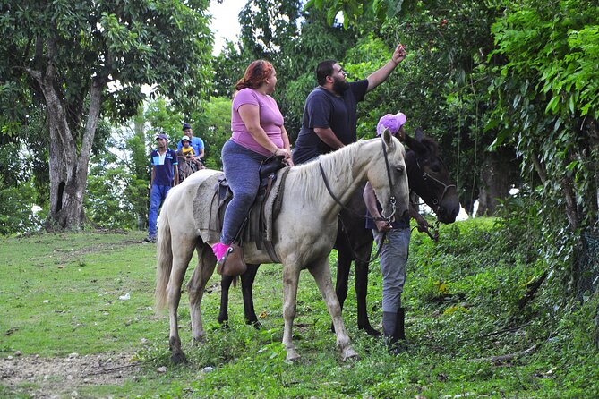 Half-Day Cultural Safari - Higüey streets, markets, and local production