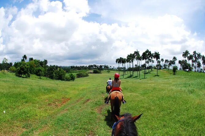 Half-Day Cultural Safari - What $40 really covers