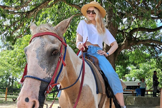 Half-day Cultural Tour in the City of Higüey - Rancho Real Cigars offers the most hands-on stop