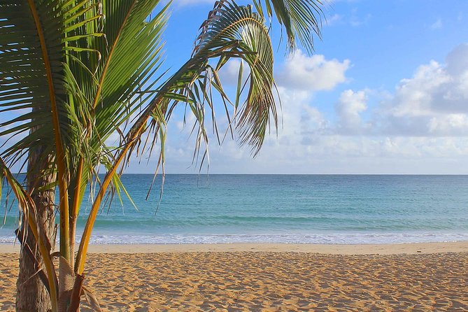 Half-Day Dominican Republic Safari Tour from Punta Cana - Macao Beach as the coastal finish