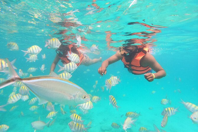 Half-Day Private Party Boat and Snorkeling in Punta Cana - What the crew and boat setup add