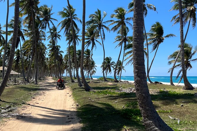 Half Day Safari and ATV or horses from Punta Cana - Key points to know before booking