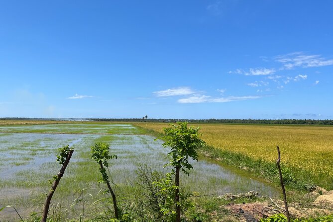 Half Day Safari and ATV or horses from Punta Cana - A typical Dominican house and working farm