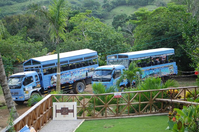Half-Day Safari Tour from Punta Cana - Key points to know before booking