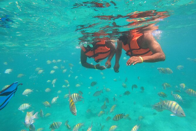 Half-Day Snorkeling Cruise and Natural Pool with Open Bar - Drinks, snacks, and the onboard party