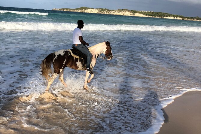 Half-Day Tour 2-in-1, Redonda Mountain & Horseback Riding Tour in Macao Beach - Is $130.30 good value?