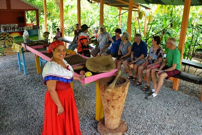 Half-Day Tour: Dominican Discovery Of a Culture - Key points at a glance