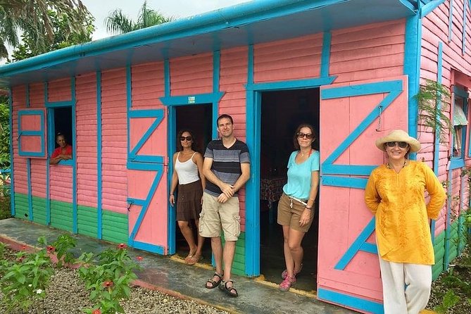 Half-Day Tour: Dominican Discovery Of a Culture - A Dominican home, garden, and farm products