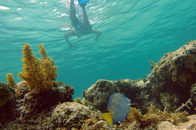 Happy Hour Party Boat With Snorkeling - Should you book the Happy Hour Party Boat?
