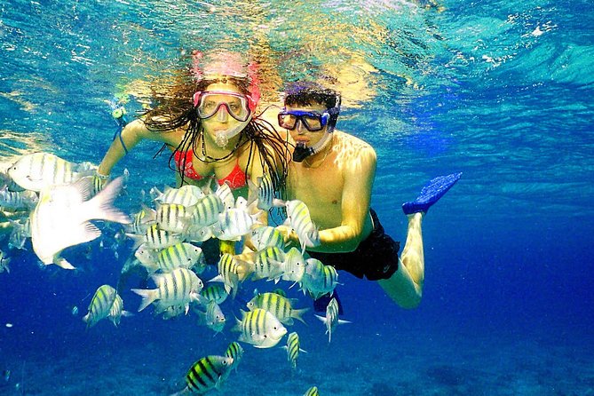 Happy Hour Party Boat With Snorkeling - Two stops above the northern coast reef