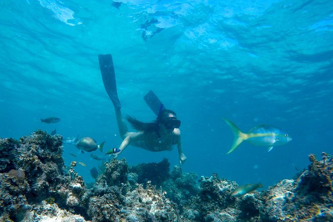 Happy Hour Sailing Cruise from Punta Cana - Cruising the Punta Cana coast by catamaran
