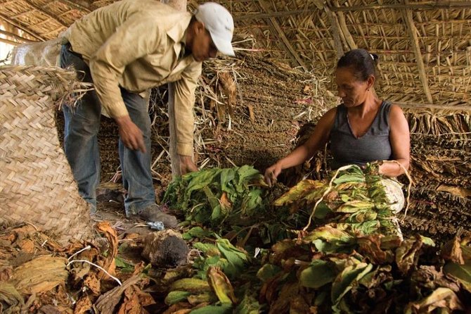 Higuey City Tour - A Cultural Experience From Punta Cana - The Guide Question Matters Most