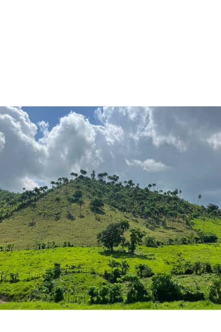 Higuey discovery, coffee and cocoa tasting from punta cana - Choosing the right Basilica of Higüey