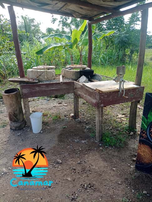 Higuey discovery, coffee and cocoa tasting from punta cana - Buffet lunch beside the Anamuya River