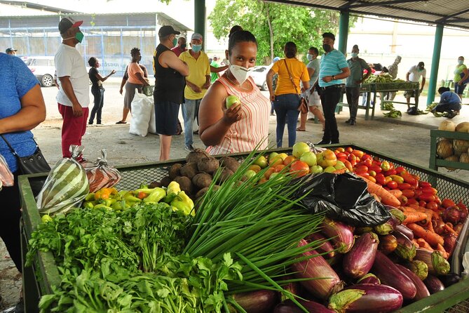 Higuey expedition cultural and historical tour from Punta Cana - A broad look at the Dominican Republic in six and a half hours