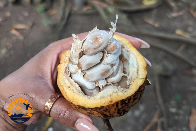 Higuey expedition cultural and historical tour from Punta Cana - Making your own cigar in Higüey