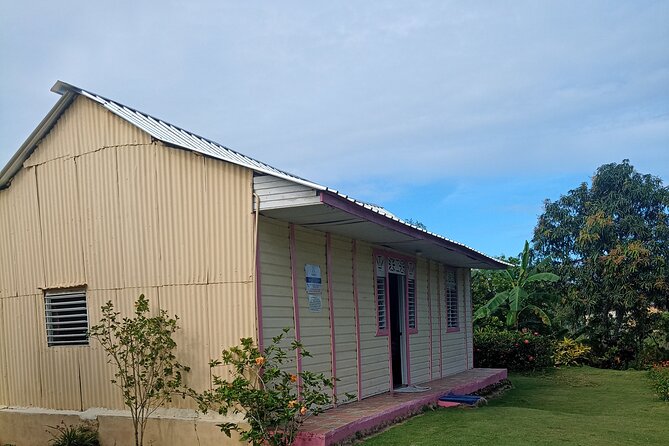 Higuey expedition cultural and historical tour from Punta Cana - Higüey market, plants, and a craft shop