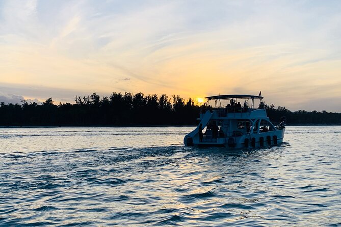 Hip Hop adult only Party Boat with Unlimited drinks& sand-bar - Dolphin viewing is a pleasant extra, not a promise