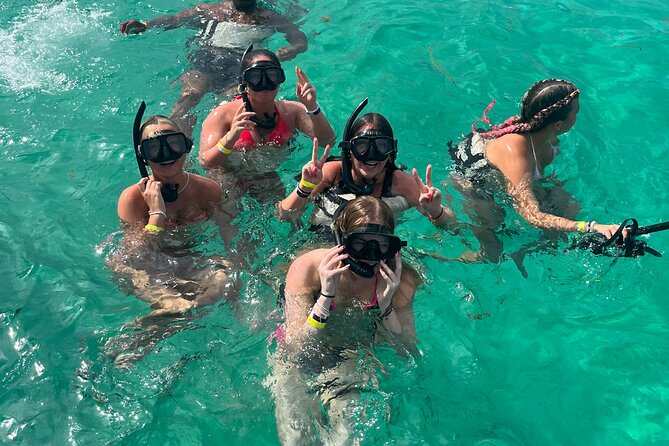 Hip Hop Party Boat with Snorkeling Punta Cana - Viewing dolphins from the catamaran