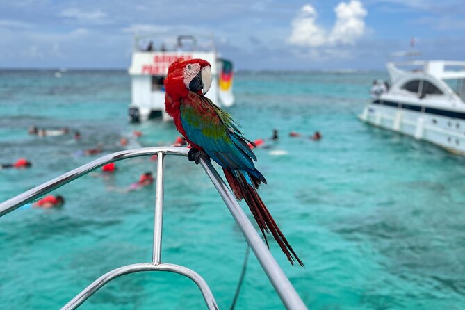 Hip Hop Party Boat with Snorkeling Punta Cana - Music, dancing, and the social atmosphere