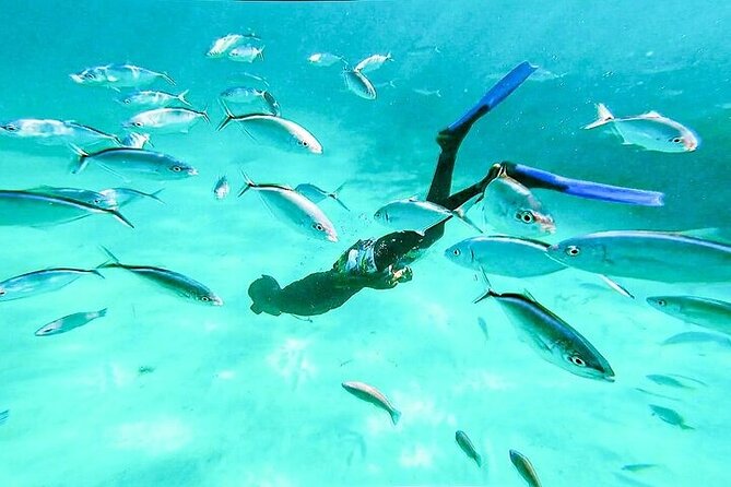 Hip Hop solo para adultos PartyBoat con Bebidas ilimitadas y Bar - Snorkeling in clear water, with realistic expectations