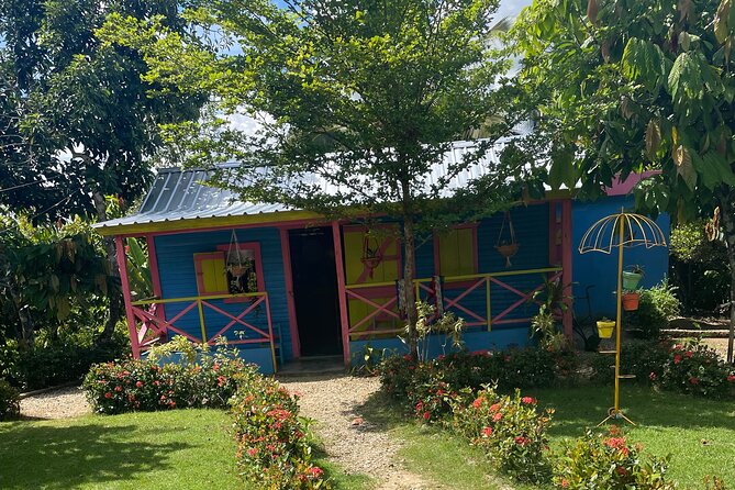 Horse Back Riding Adventure in Punta Cana - The beach route is the main event