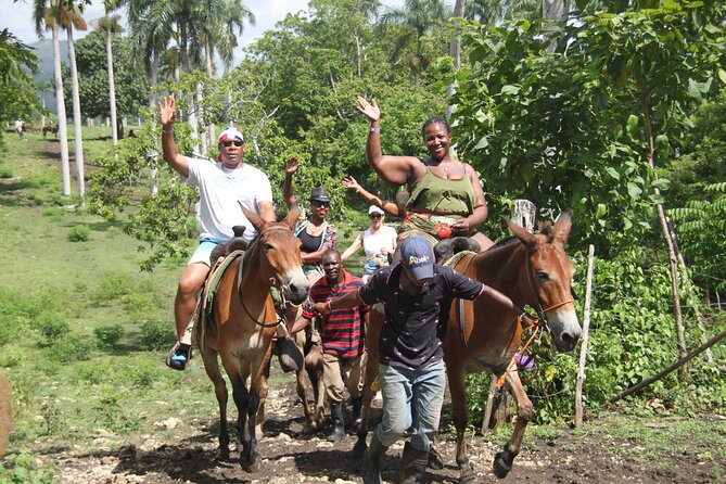 Horse back riding (Punta Cana/Bavaro) - A countryside ride with Macao Beach as the payoff
