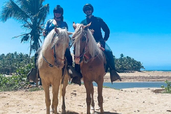 Horse Riding Experience through El Limon Beach - A quiet ride beyond Punta Cana’s resort strip