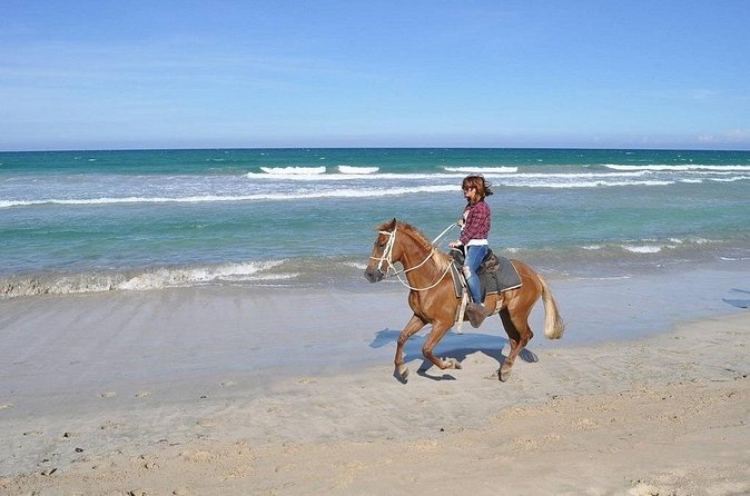 Horse Riding Experience through El Limon Beach - Is $150 a fair price?