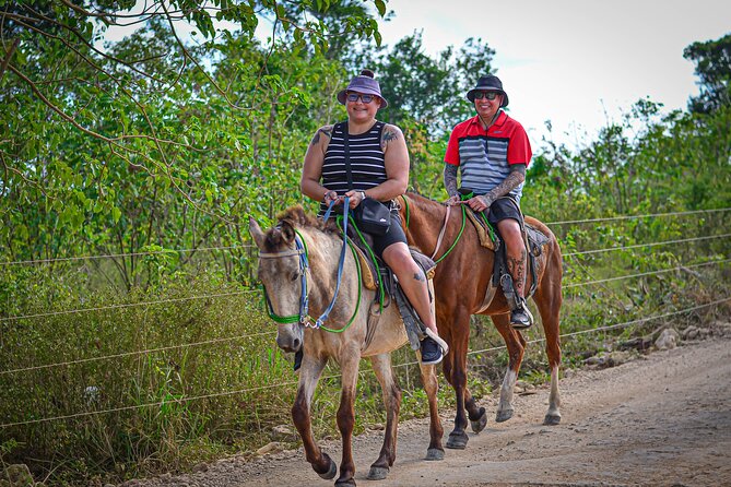 HORSEBACK - RIDE Through Punta Cana - Pickup across Punta Cana and a three-hour time commitment