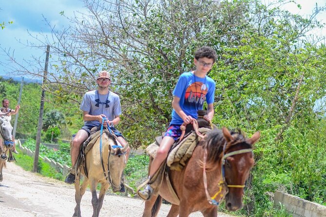 HORSEBACK - RIDE Through Punta Cana - The horse-care and punctuality concerns