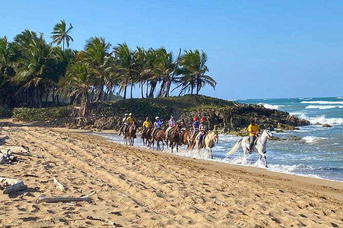 Horseback Riding Adventure Punta Cana - Key details before you saddle up