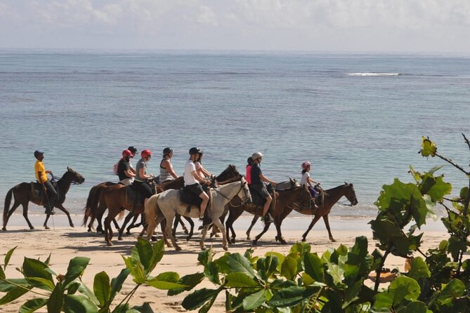 Horseback Riding Adventure Punta Cana - How the $40 price holds up