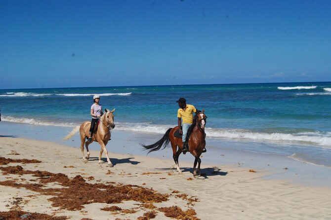 Horseback Riding Adventure Punta Cana - Pickup, timing, and group size