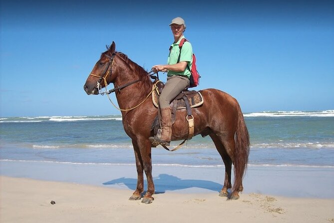 Horseback Riding Adventure Punta Cana - The beach ride is the real prize