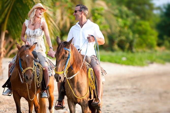 Horseback Riding Adventure to Macao Alto Beaches in Punta Cana - Key points at a glance