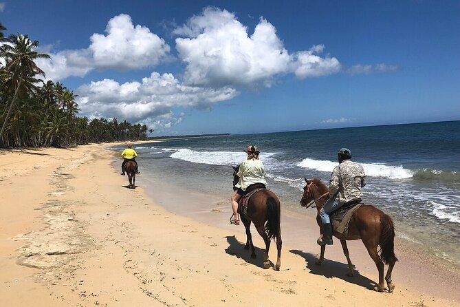 Horseback Riding Adventure to Macao Alto Beaches in Punta Cana - Getting comfortable in the saddle at the ranch