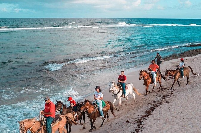 Horseback Riding Adventure to Macao Alto Beaches in Punta Cana - The best fit for this horseback outing