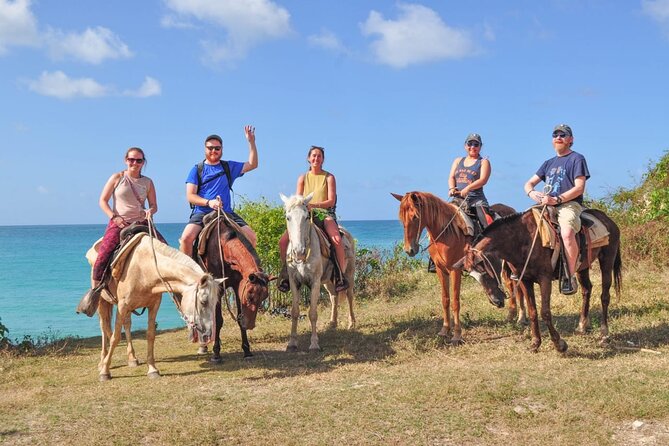 Horseback riding along Macao beach from Punta Cana - Key points to know before booking