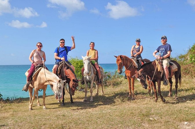 Horseback riding along Macao beach from Punta Cana - How the three-hour schedule affects value