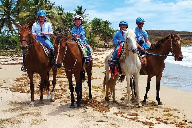 Horseback Riding along the Beach - Key points to know before you book
