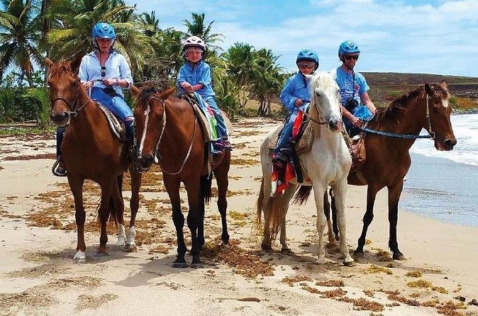 Horseback Riding along the Beach - Getting in the water after the saddle