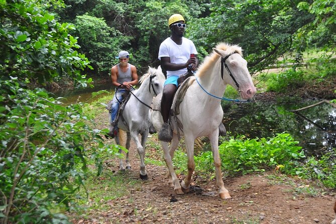 Horseback Riding at Macao Beach - A private ride with Macao Beach as the payoff
