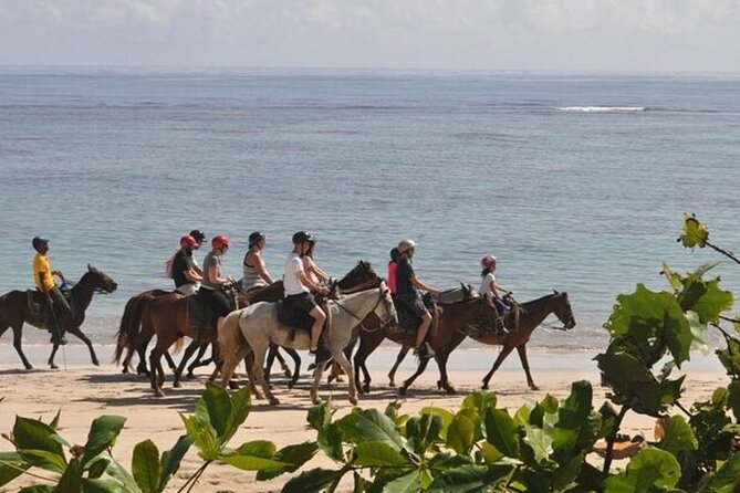 Horseback Riding at Macao Beach - Cigar and mamajuana tastings along the way